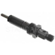 Purchase Top-Quality Injecteur de carburant neuf by BLUE STREAK (HYGRADE MOTOR) - FJ330 pa7