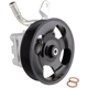 Purchase Top-Quality New Power Steering Pump by HITACHI pa1