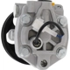 Purchase Top-Quality MAVAL - 96516MN - Power Steering Pump pa3