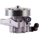 Purchase Top-Quality PWR STEER - 60-5134P - Steering Power Steering Pump pa2