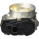 Purchase Top-Quality BLUE STREAK (HYGRADE MOTOR) - S20019 - New Throttle Body pa6