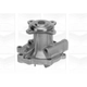 Purchase Top-Quality GRAF - PA1017 - Water Pump pa1