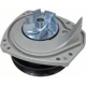 Purchase Top-Quality Pompe à eau neuve by US MOTOR WORKS - US8102 pa3