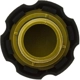 Purchase Top-Quality Oil Cap by MOTORAD pa17