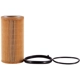 Purchase Top-Quality PRONTO FILTERS - PO5581 - Engine Oil Filter pa1