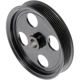 Purchase Top-Quality DORMAN - 300315RD - Power Steering Pump Pulley pa1