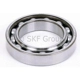 Purchase Top-Quality Roulement d'arbre de sortie by SKF - 6010J pa1