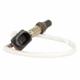 Purchase Top-Quality Oxygen Sensor by MOTORCRAFT - DY1303 pa2