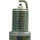 Purchase Top-Quality Platinum Plug by CHAMPION SPARK PLUG - 3031 pa3