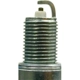 Purchase Top-Quality Platinum Plug by CHAMPION SPARK PLUG - 3031 pa8