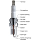 Purchase Top-Quality CHAMPION SPARK PLUG - 3408 - Platinum Plug pa6