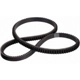 Purchase Top-Quality Power Steering Belt by DAYCO pa5