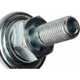 Purchase Top-Quality Amortisseur de pression by BLUE STREAK (HYGRADE MOTOR) pa1