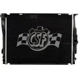 Purchase Top-Quality Radiateur by CSF pa2