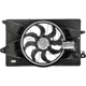 Purchase Top-Quality DORMAN - 621-115 - Radiator Fan Assembly pa1