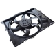 Purchase Top-Quality SKP - SK621196 - Engine Cooling Fan Assembly pa9