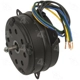 Purchase Top-Quality Radiator Fan Motor by FOUR SEASONS - 35231 pa3