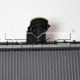 Purchase Top-Quality Radiateur by TYC - 13142 pa3