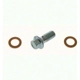 Purchase Top-Quality Rear Banjo Bolt by CARLSON - H9502-2 pa1