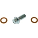 Purchase Top-Quality Rear Banjo Bolt by CARLSON - H9502-2 pa2