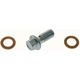 Purchase Top-Quality Rear Banjo Bolt by CARLSON - H9502-2 pa4