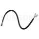 Purchase Top-Quality Rear Brake Hose by SUNSONG NORTH AMERICA - 2203197 pa1