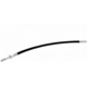 Purchase Top-Quality Rear Brake Hose by VAICO - V10-4117 pa1