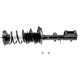 Purchase Top-Quality Rear Complete Strut Assembly by EVOLUTION - V171954 pa4