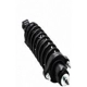 Purchase Top-Quality Assemblage de jambe de force arrière complet by FCS AUTOMOTIVE - 1345434 pa4