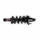 Purchase Top-Quality FCS AUTOMOTIVE - 1345688R - Rear Complete Strut Assembly pa4