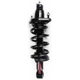 Purchase Top-Quality FCS AUTOMOTIVE - 1345688R - Rear Complete Strut Assembly pa1