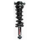 Purchase Top-Quality FCS AUTOMOTIVE - 1345695 - Assemblage de jambe de force arrière complet pa1