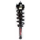 Purchase Top-Quality FCS AUTOMOTIVE - 2345831 - Assemblage de jambe de force arrière complet pa1