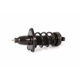 Purchase Top-Quality UNITY AUTOMOTIVE - 15123 - Rear Complete Strut Assembly pa1