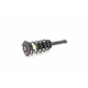 Purchase Top-Quality Rear Complete Strut Assembly by UNITY AUTOMOTIVE - 15430 pa1