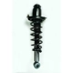 Purchase Top-Quality Assemblage de jambe de force arrière complet by WORLDPARTS STRUTS - W1345404L pa1