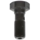 Purchase Top-Quality DORMAN - 13874 - Brake Hose Banjo Bolt pa1