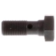 Purchase Top-Quality DORMAN - 13874 - Brake Hose Banjo Bolt pa3