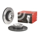 Purchase Top-Quality Rear Premium Rotor by BREMBO - 09.B569.11 (1 Qty) pa4