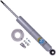 Purchase Top-Quality BILSTEIN - 24-320252 - Monotube Non-Adjustable Shock Absorber pa1