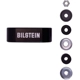 Purchase Top-Quality BILSTEIN - 25-311273 - Shock Absorber pa2