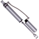 Purchase Top-Quality BILSTEIN - 25-311334 - Shock Absorber pa4