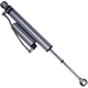 Purchase Top-Quality BILSTEIN - 25-316964 - Shock Absorber pa4