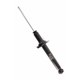 Purchase Top-Quality Rear Strut by TRANSIT WAREHOUSE pa6