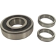 Purchase Top-Quality Rear Wheel Bearing by SKF pa2