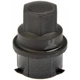 Purchase Top-Quality Rear Wheel Nut Cover (Pack of 5) by DORMAN/AUTOGRADE - 611-612 pa2