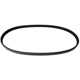 Purchase Top-Quality CONTINENTAL - 4030295 - Serpentine Belt - Automotive V-Belt pa1