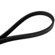 Purchase Top-Quality CONTINENTAL - 4030295 - Serpentine Belt - Automotive V-Belt pa2