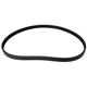 Purchase Top-Quality CONTINENTAL - 4040247S - Courroie Serpentine - Automotive V-Belt pa1