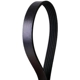 Purchase Top-Quality CONTINENTAL - 4040342 - Serpentine Belt - Automotive V-Belt pa2